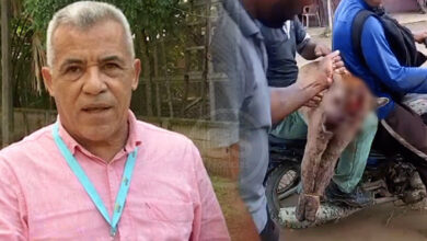 Photo of Tres tipos de sanciones podría enfrentar responsable de la muerte de un puma en San Bernardo