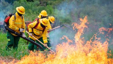 Photo of En Colombia hay 883 municipios en alerta de incendios