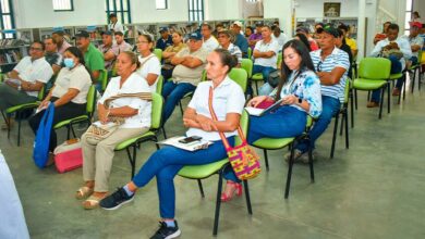 Photo of Ante posible protesta, habrá mesa técnica  de concertación entre MinAgricultura y productores de yuca