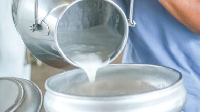 Photo of Caída en precios y acopio industrial de leche: productores en alarma