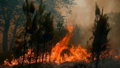 Photo of En Sucre hay cuatro municipios en alerta roja por incendios, según el IDEAM